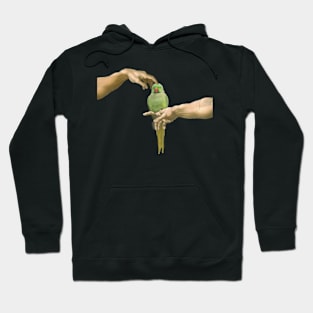 scritching a green indian ringneck Hoodie